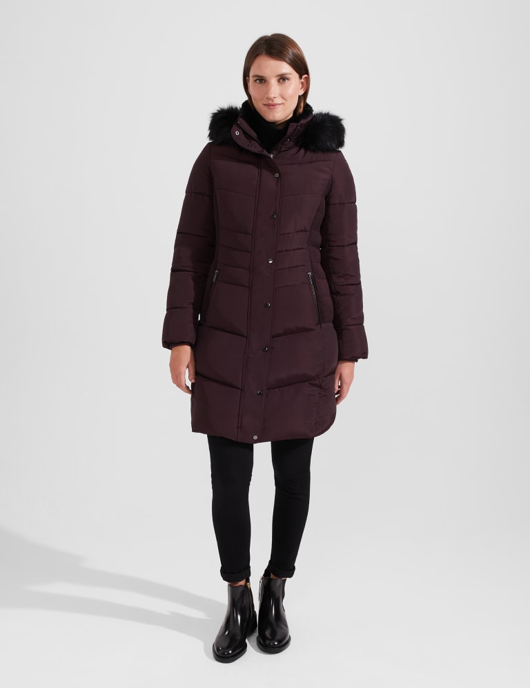 Hobbs parka top