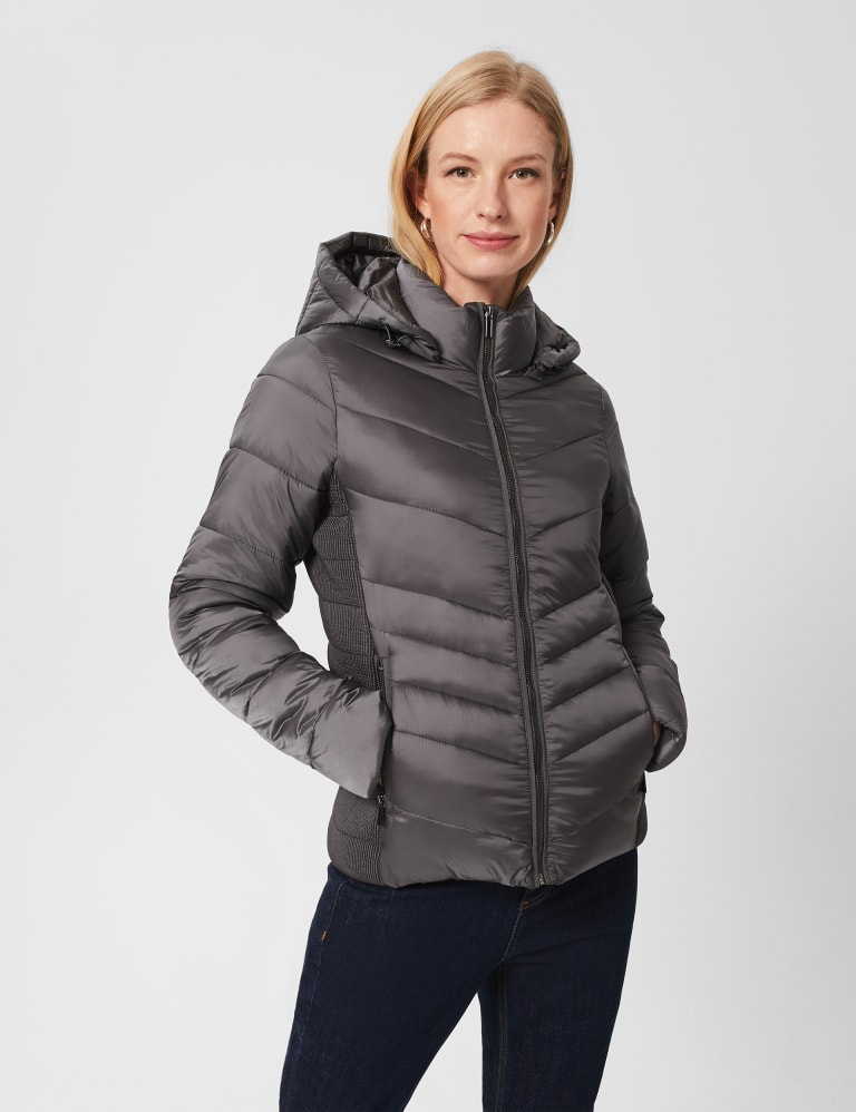 5 Winter Essentials, Puffer Jackets, Coats & Jumpers, Hobbs London, Hobbs