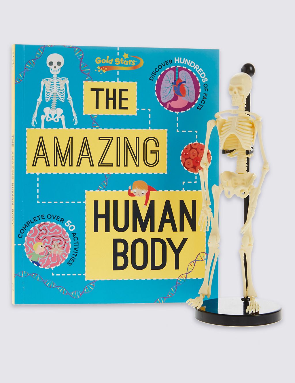 Human Body Factivity Book 3 of 3