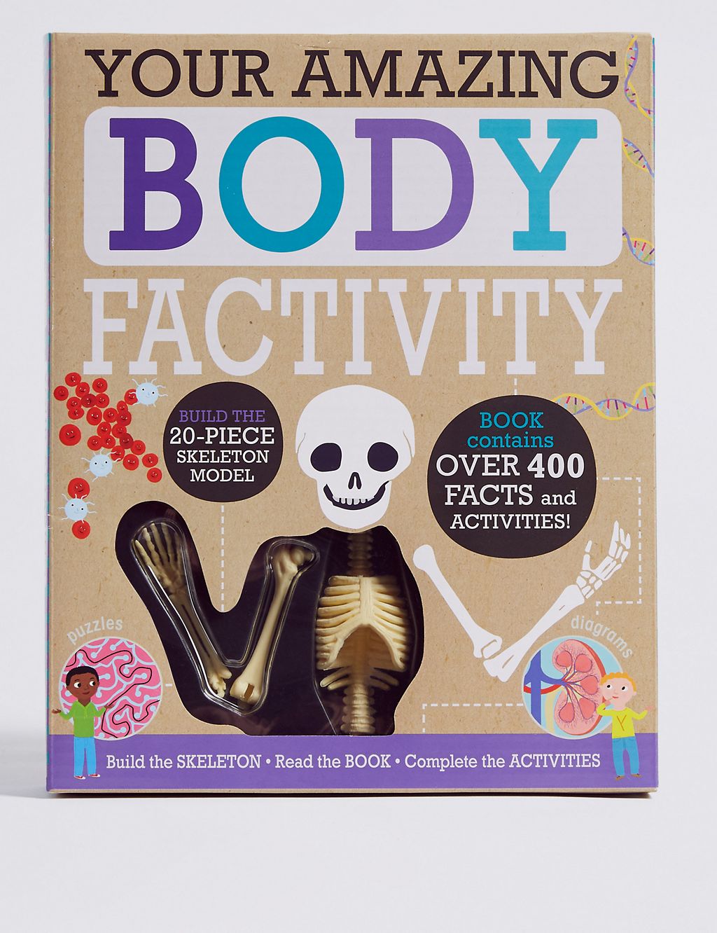 Human Body Factivity 3 of 5