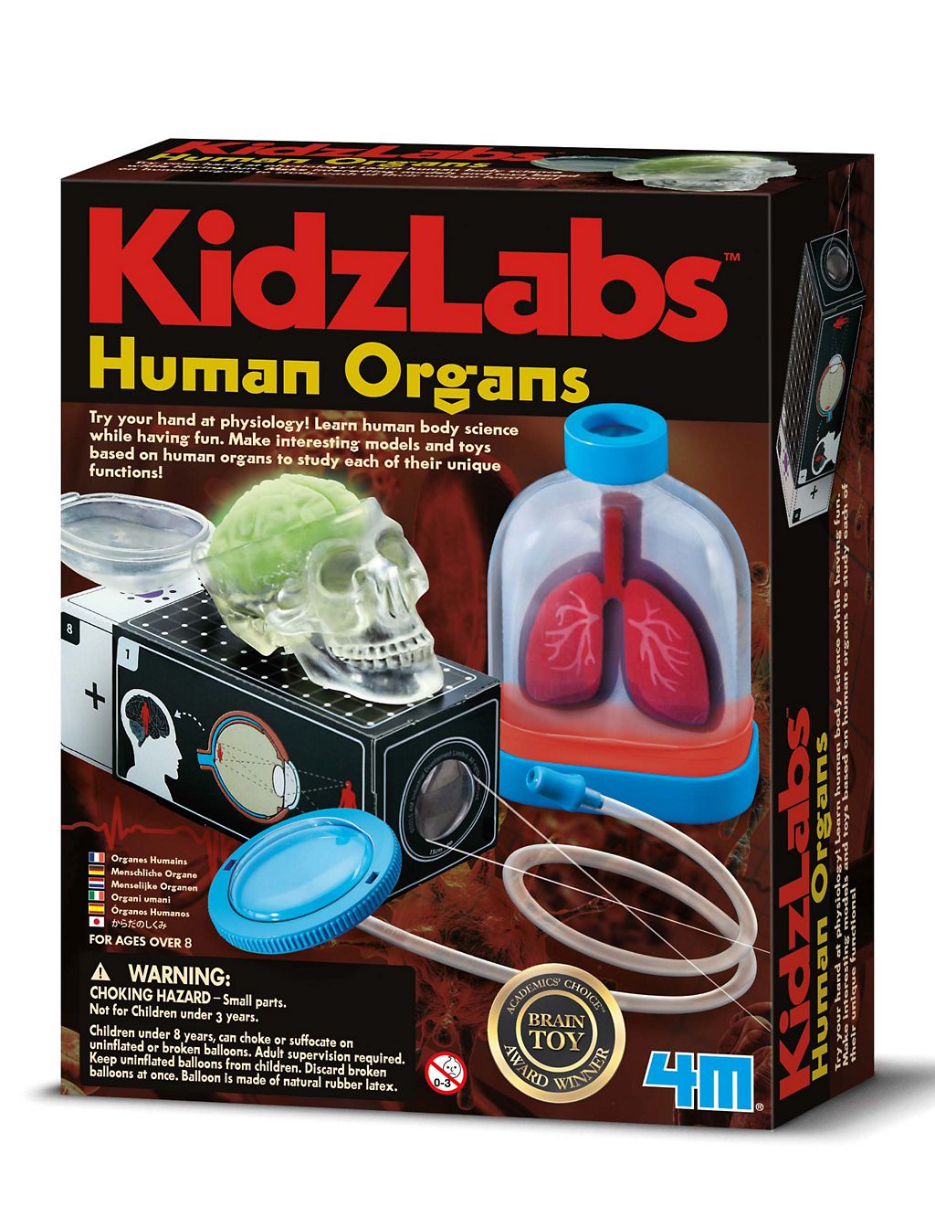 Human Organs Kit 3 of 3