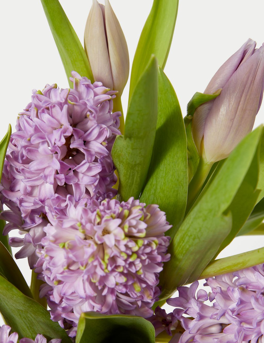 Hyacinth & Tulip Bouquet 4 of 5