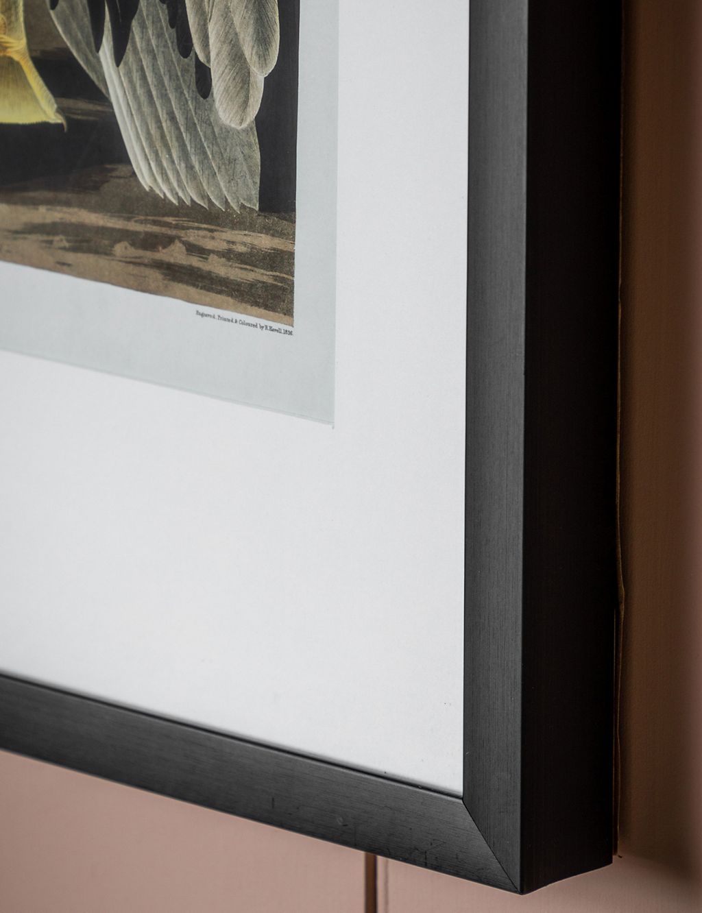 Inquisitive Pelican Rectangle Framed Art 2 of 4
