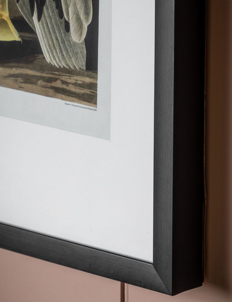 Inquisitive Pelican Rectangle Framed Art 3 of 4