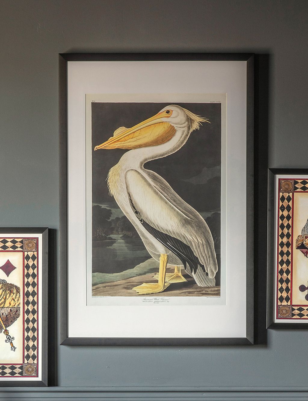 Inquisitive Pelican Rectangle Framed Art 4 of 4