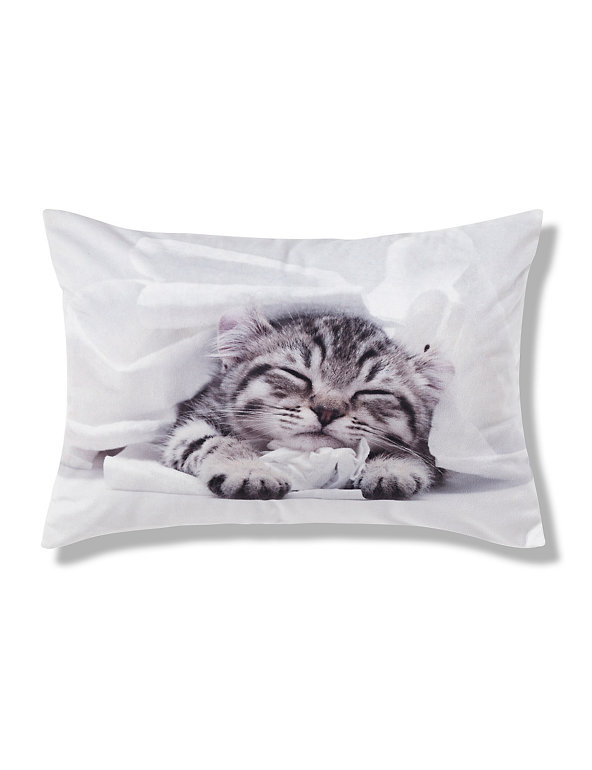Jasper Kitten Print Cushion Image 1 of 1