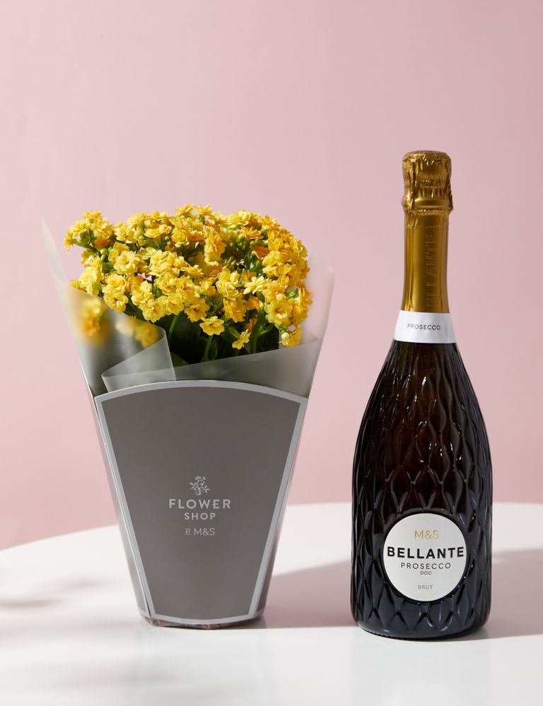 Kalanchoe Gift Bag with Prosecco 1 of 5