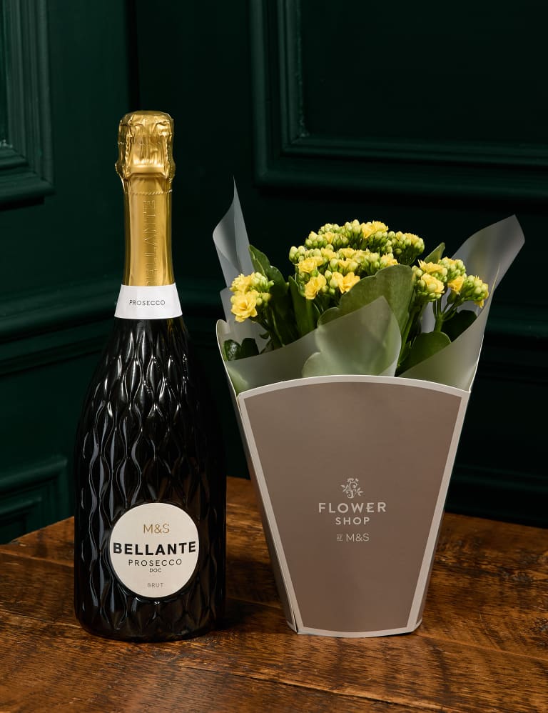 Kalanchoe Gift Bag with Prosecco 1 of 5