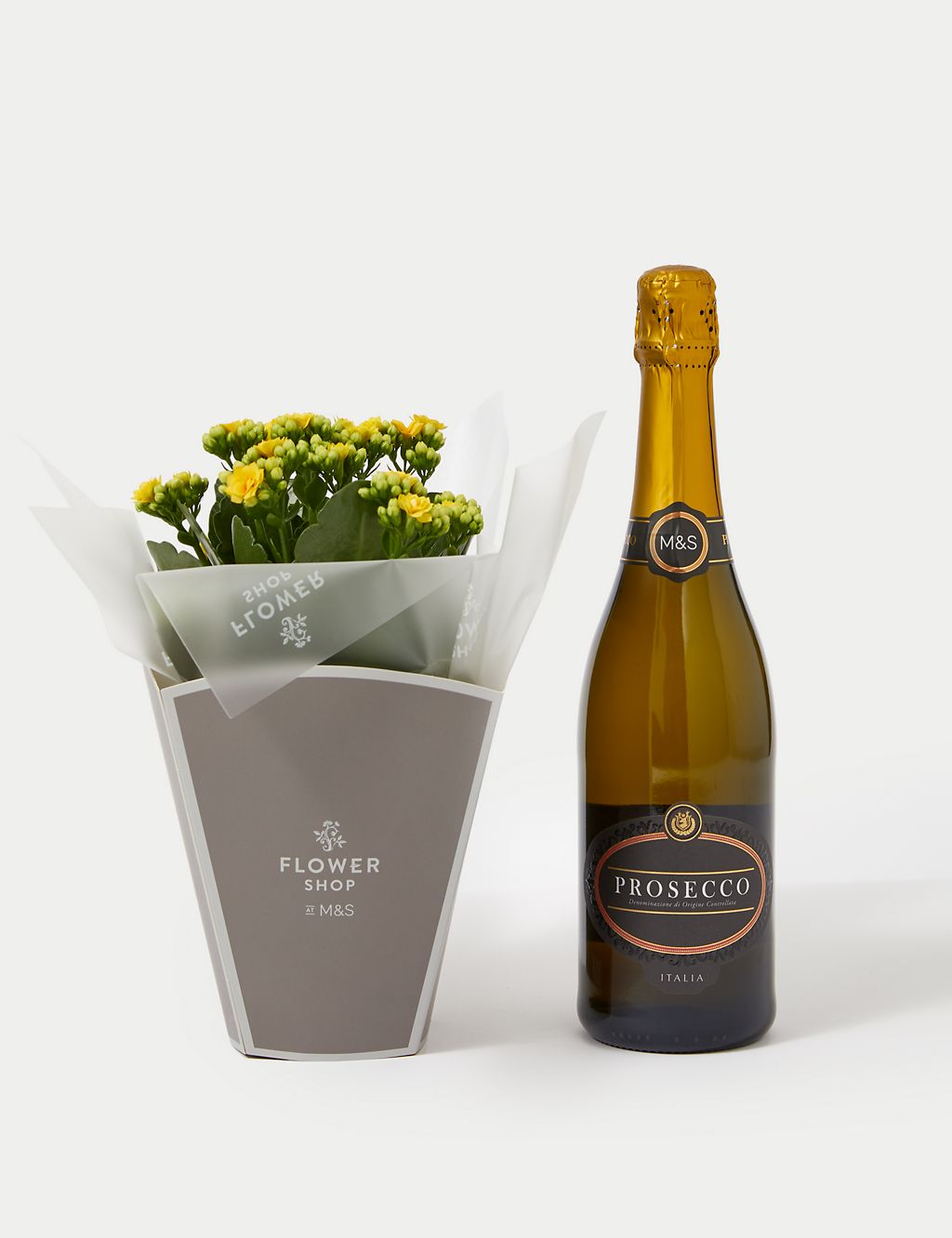 Kalanchoe Gift Bag with Prosecco 1 of 5