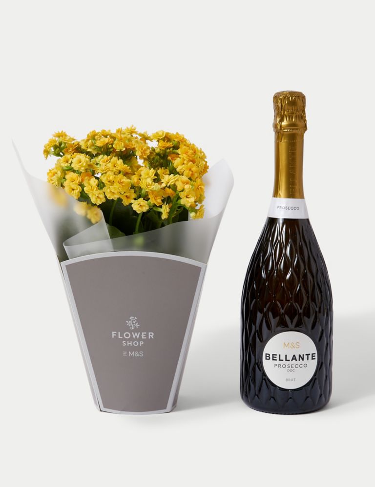 Kalanchoe Gift Bag with Prosecco 2 of 5