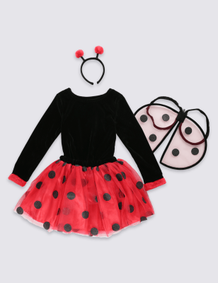 childrens ladybird costume