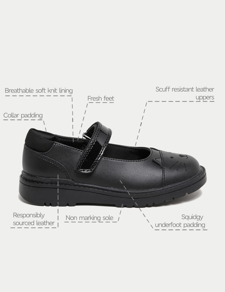 The cat shoes sale