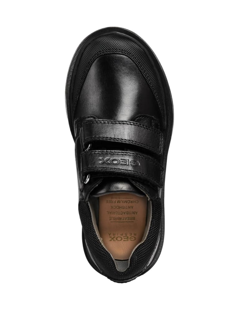 Boys geox school on sale shoes