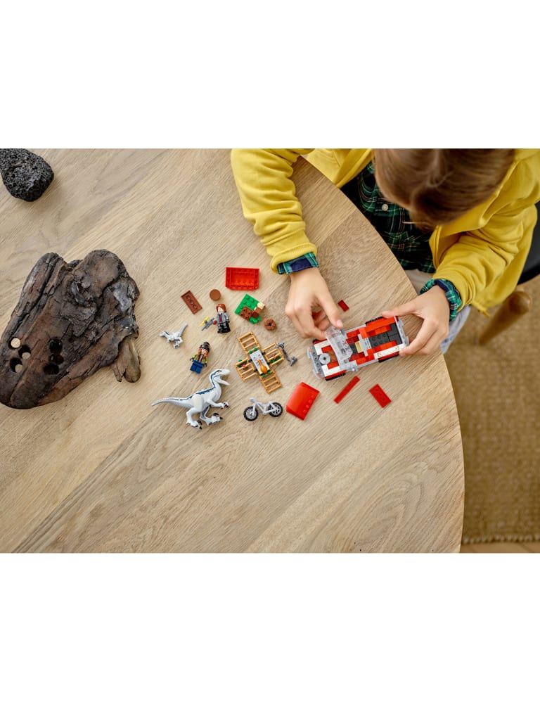 Lego jurassic blue top