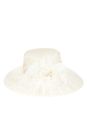 Lace Feather Mesh Hat Image 2 of 4