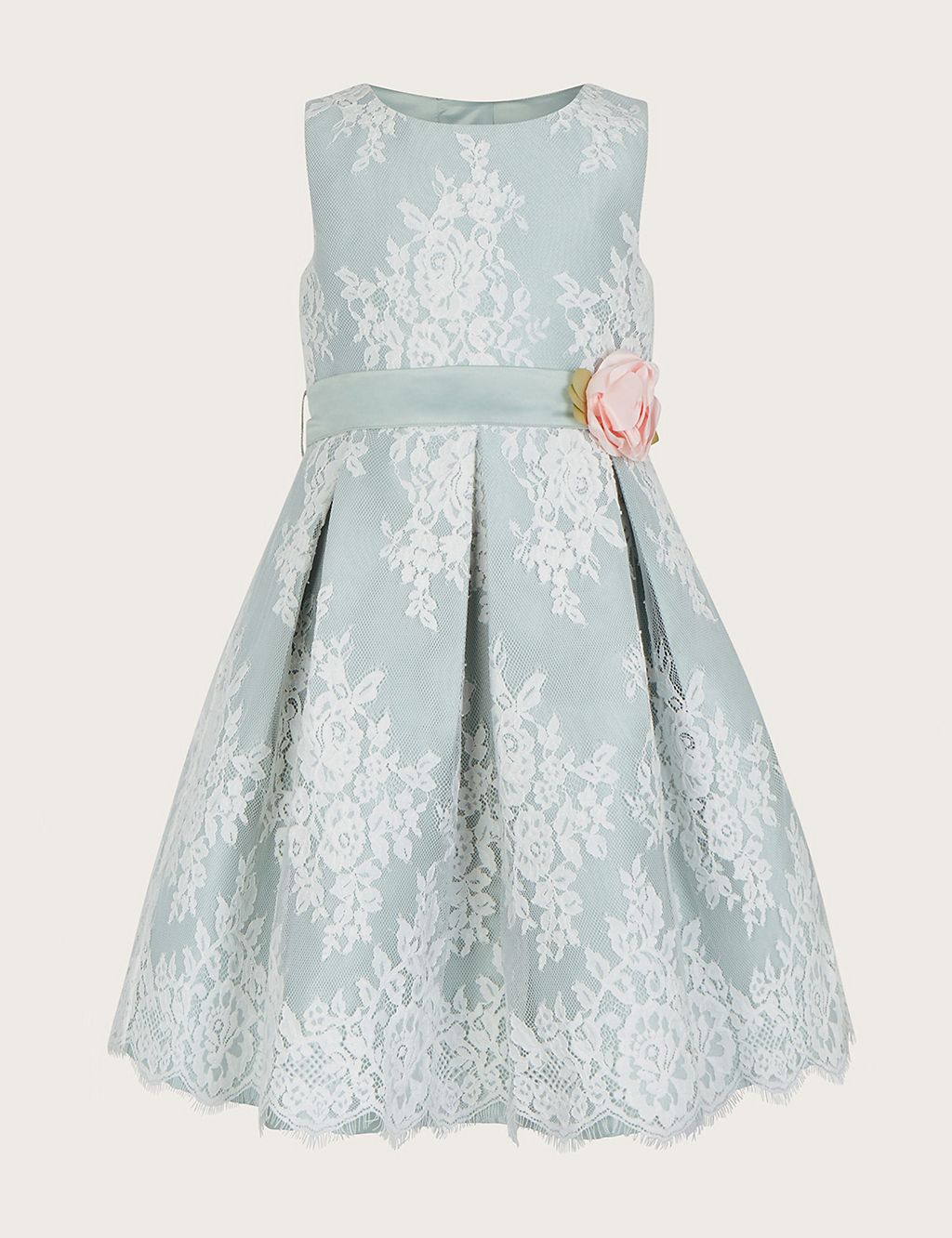 Lace Occasion Dress (3-15 Yrs) 3 of 3