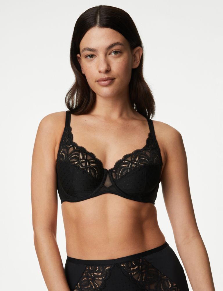 Allure Lace Wired Full Cup Bra D-J, Panache