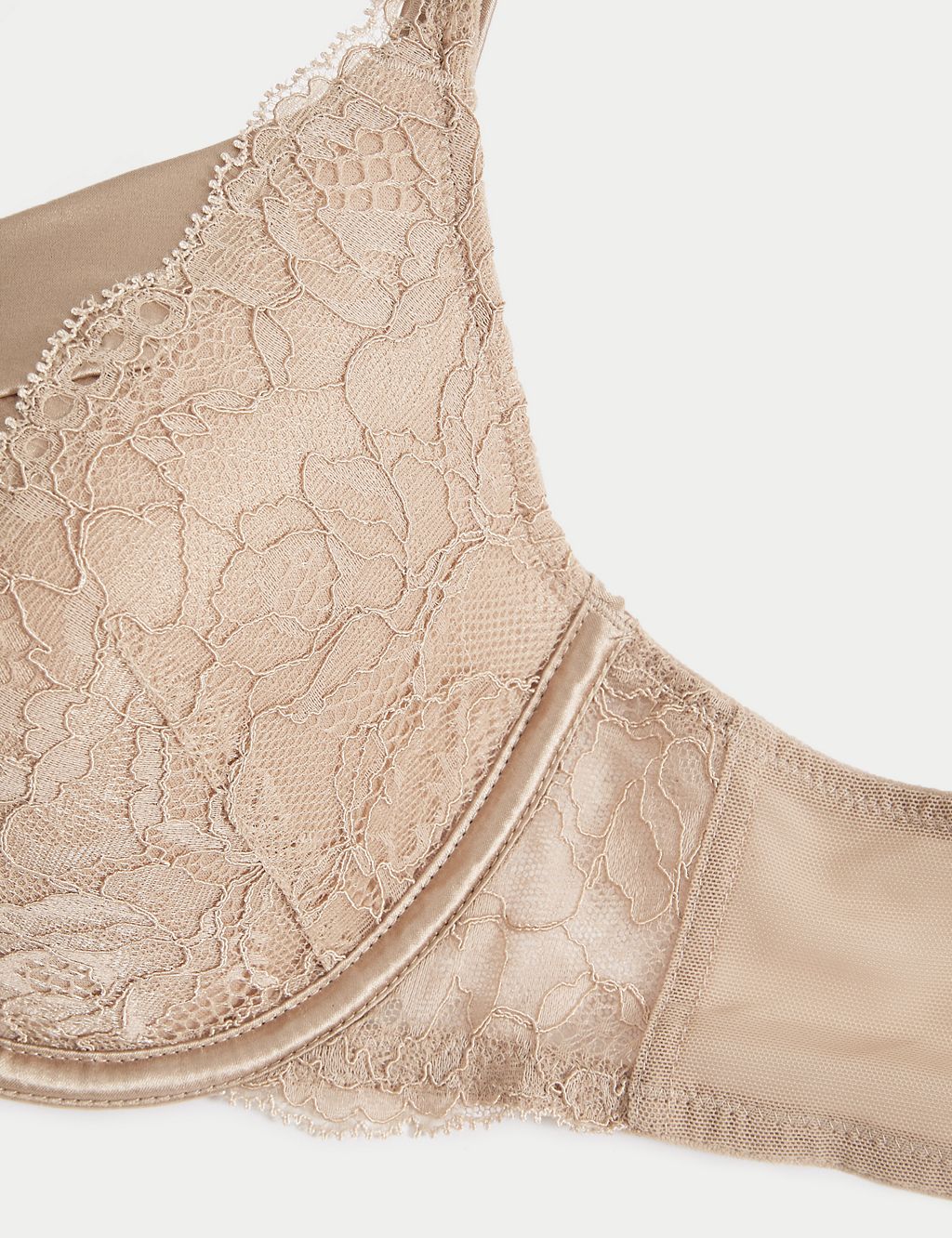 Lace Wired Full Cup Bra With Silk A-E 5 of 8