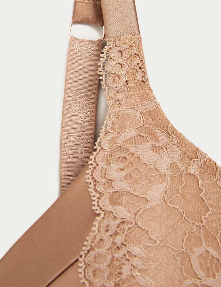 Lace Wired Full Cup Bra With Silk A-E 6 of 7