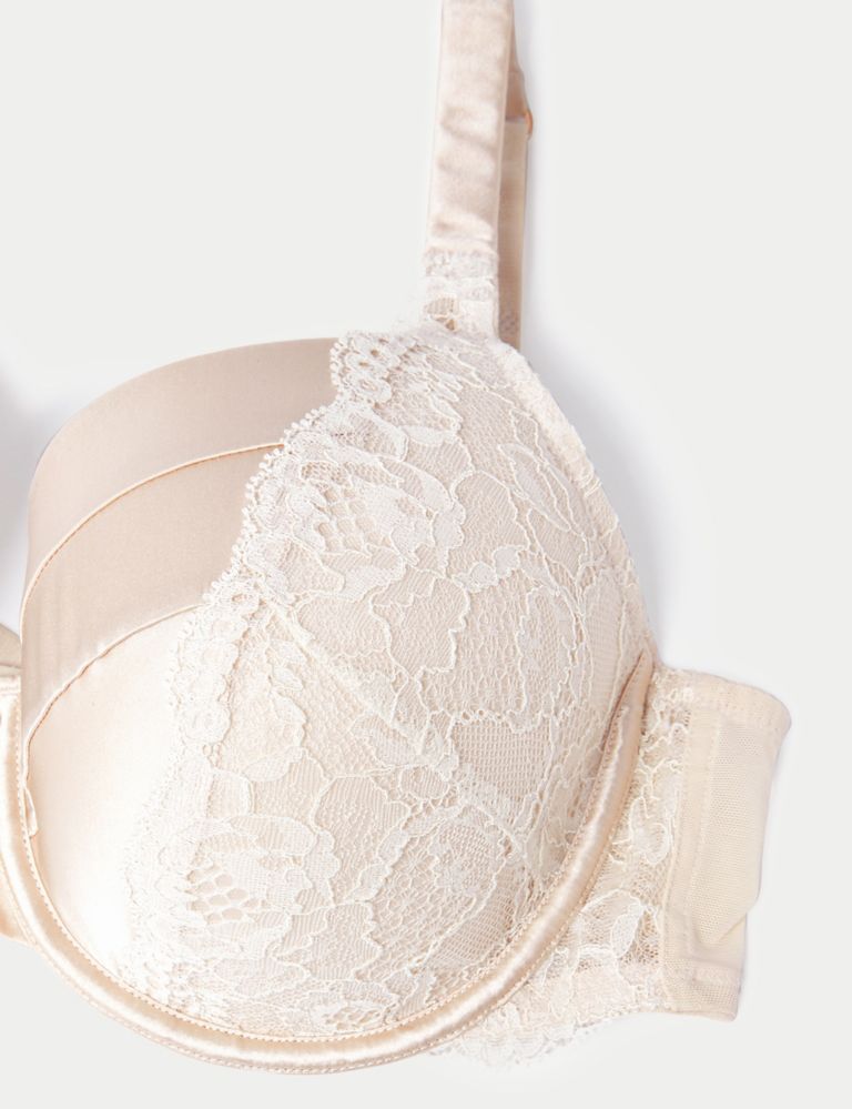 Lace Wired Full Cup Bra With Silk A-E 8 of 9