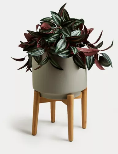 Large Ceramic Planter with Stand 2 of 5