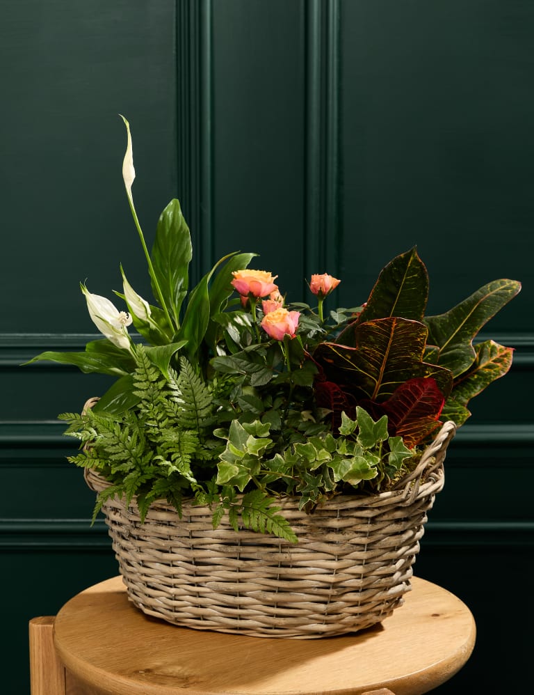 Large Flowering Basket 1 of 4