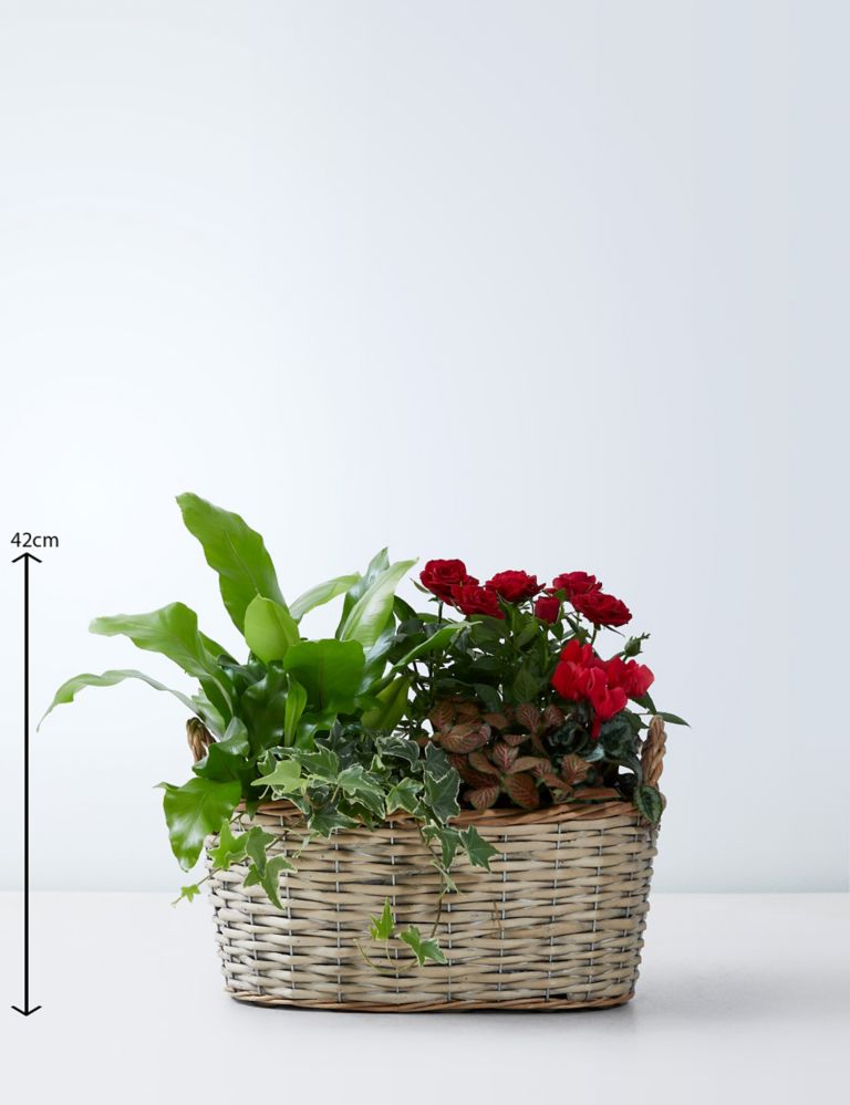 Large Flowering Basket 3 of 4