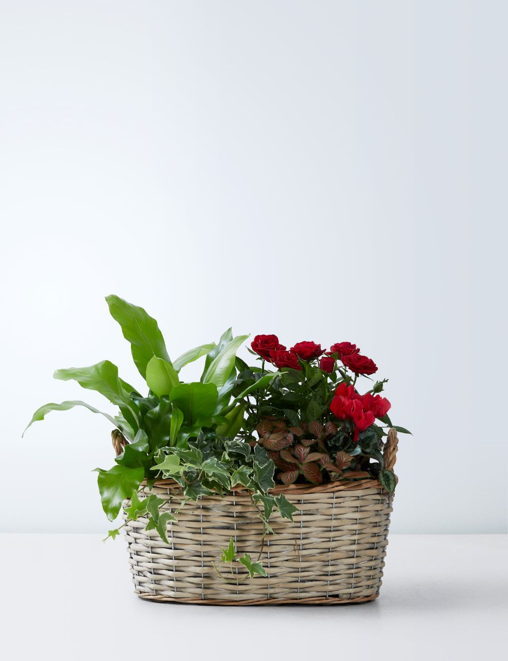 Large Flowering Basket 1 of 4