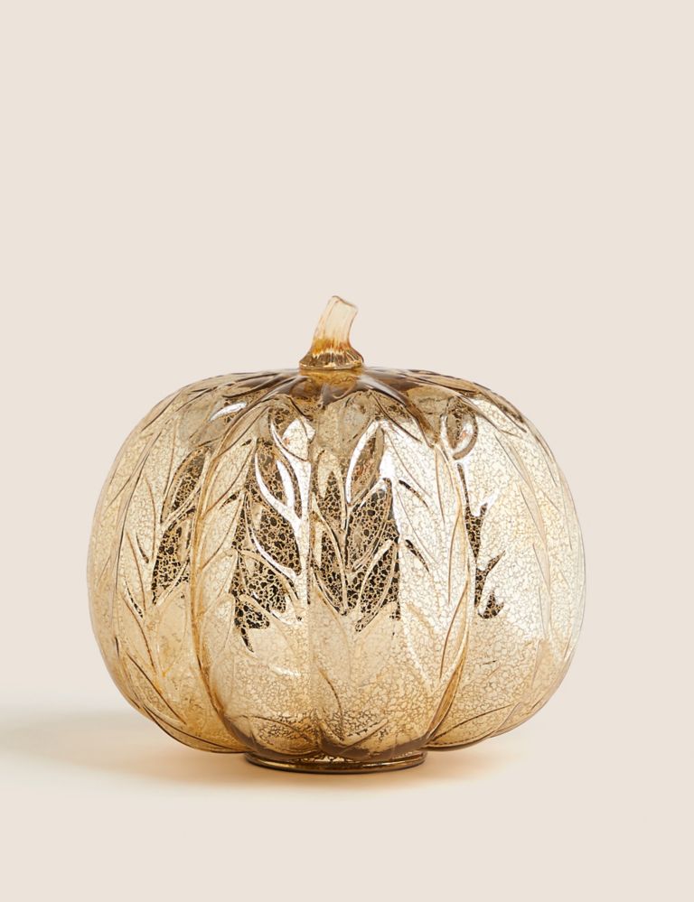 Luxury Pumpkin Graphic Collections : Luxury Pumpkin Graphic Collection