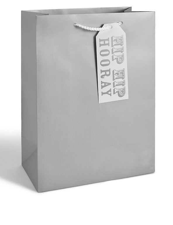 Large Kraft Silver Gift Bag Image 1 of 2