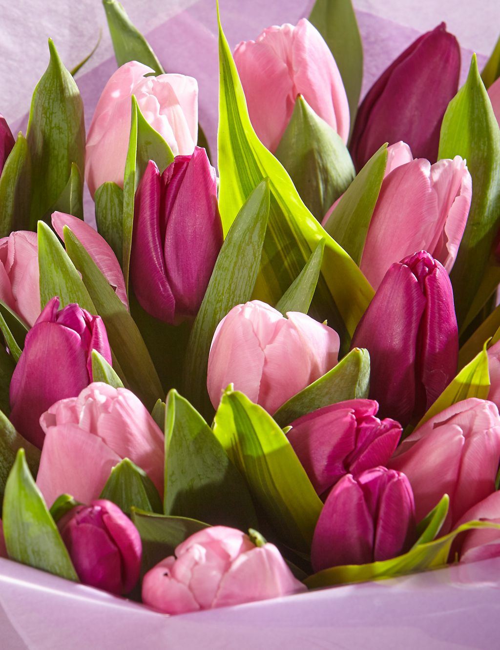 Large Mother’s Day Tulip Gift Bag - Free Chocolates worth £5 (Free Delivery from 21-28 March) 5 of 5