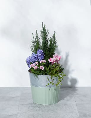 Large Outdoor Planter M S