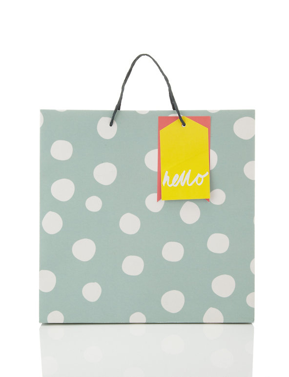 Large Polka Dot Gift Bag Image 1 of 2
