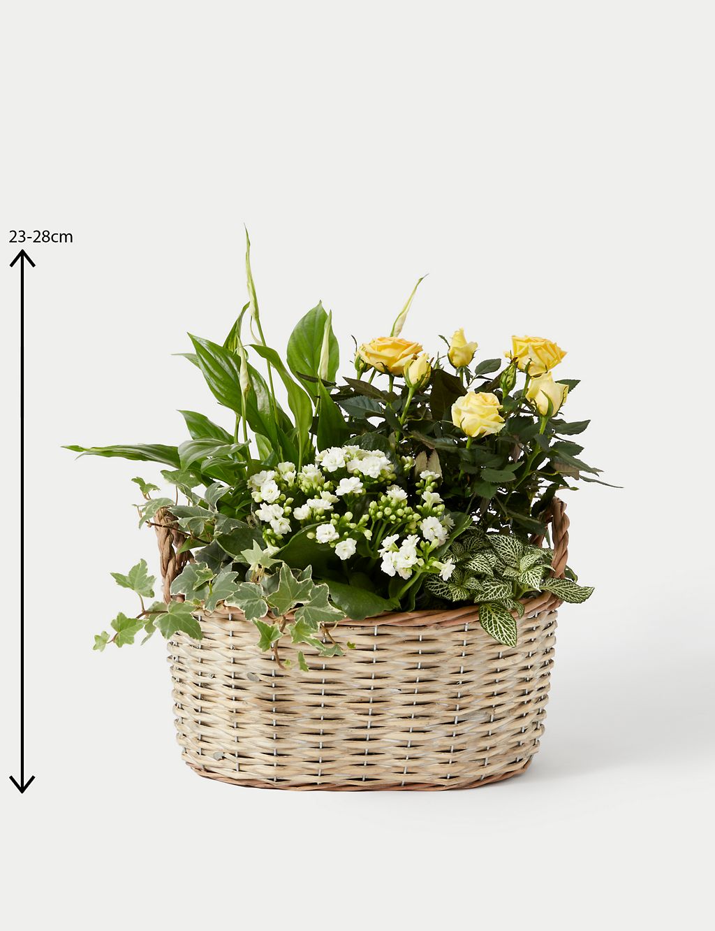 Large Summer Flowering Basket 4 of 4