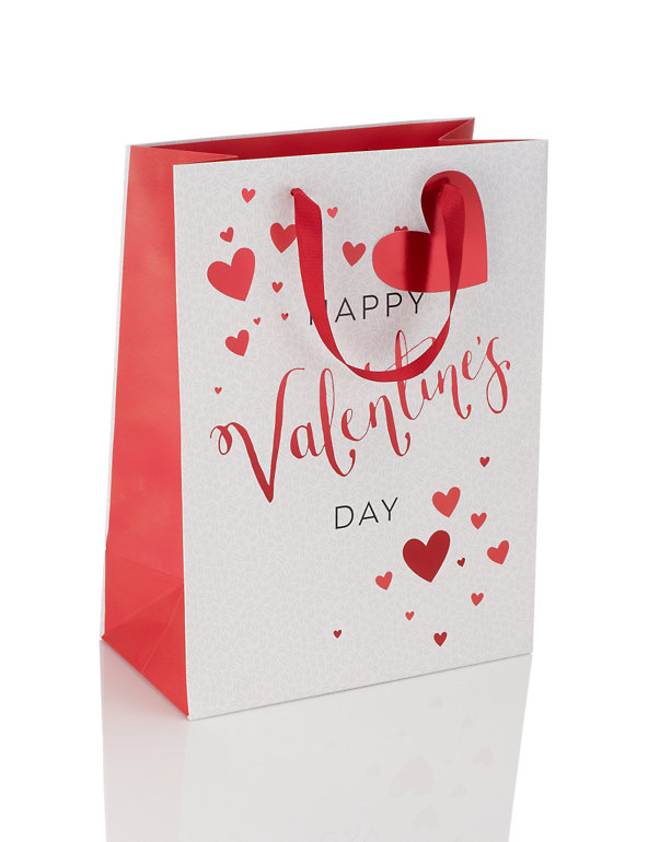 Large Valentine's Day Gift Bag Image 1 of 2