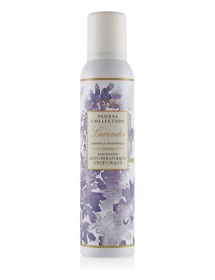 Lavender Anti-Perspirant Deodorant 150ml Image 1 of 1