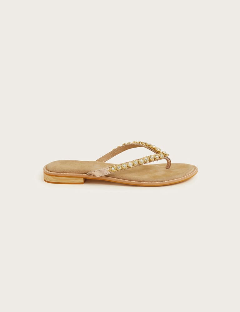 Buy Leather Embellished Flat Flip Flops | Monsoon | M&S