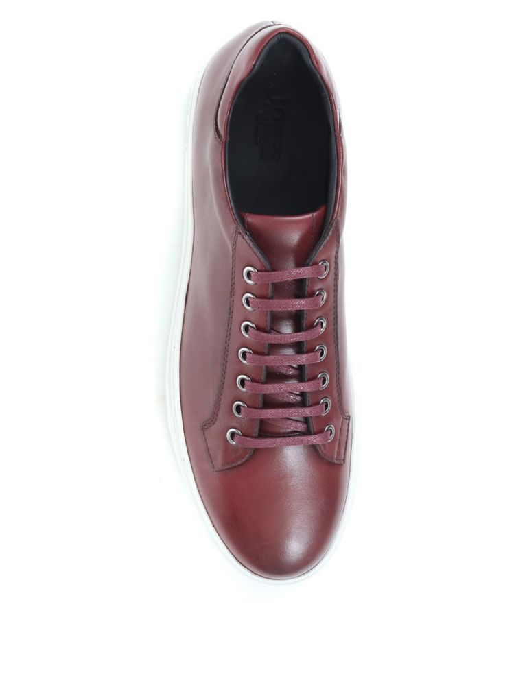 Leather Lace-Up Trainers 4 of 7