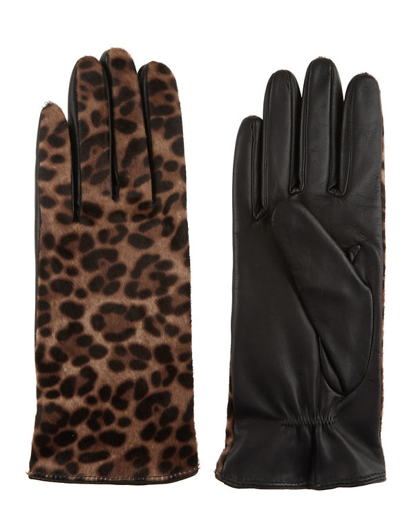 Leather Leopard Print Gloves Image 1 of 1