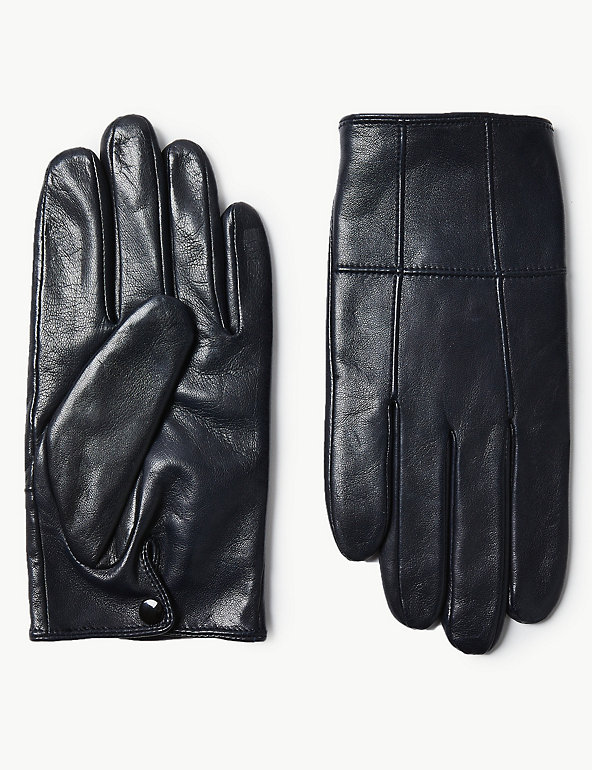 Leather Panelled Driving Gloves Image 1 of 1