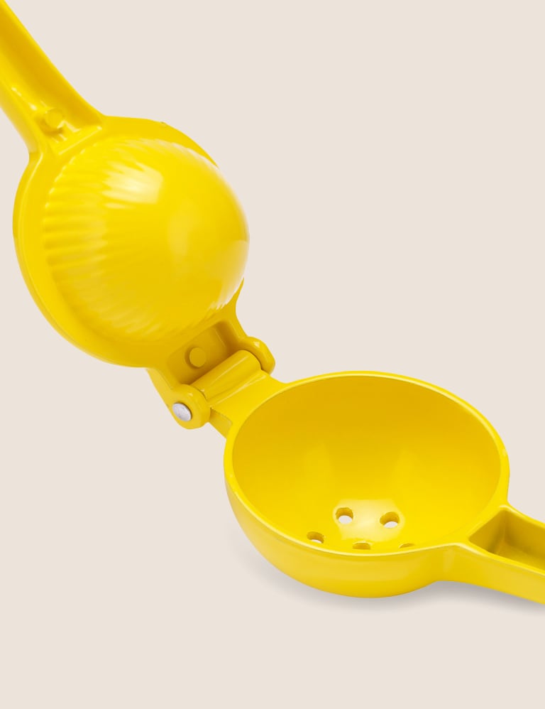 Lemon squeezer bed bath and sale beyond