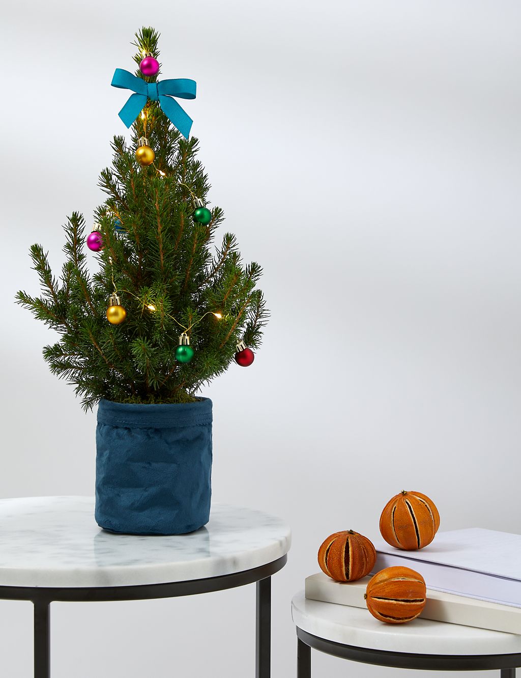 Letterbox Real Christmas Tree in Velvet Pot 3 of 5