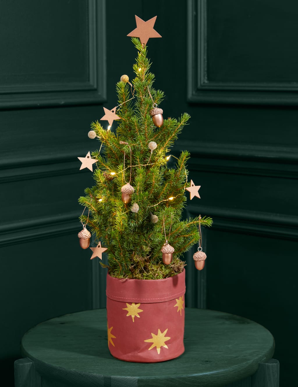 Letterbox Real Christmas Tree in Velvet Pot M S