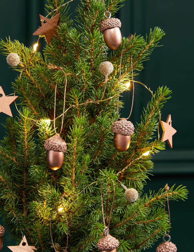 Mail order christmas on sale trees