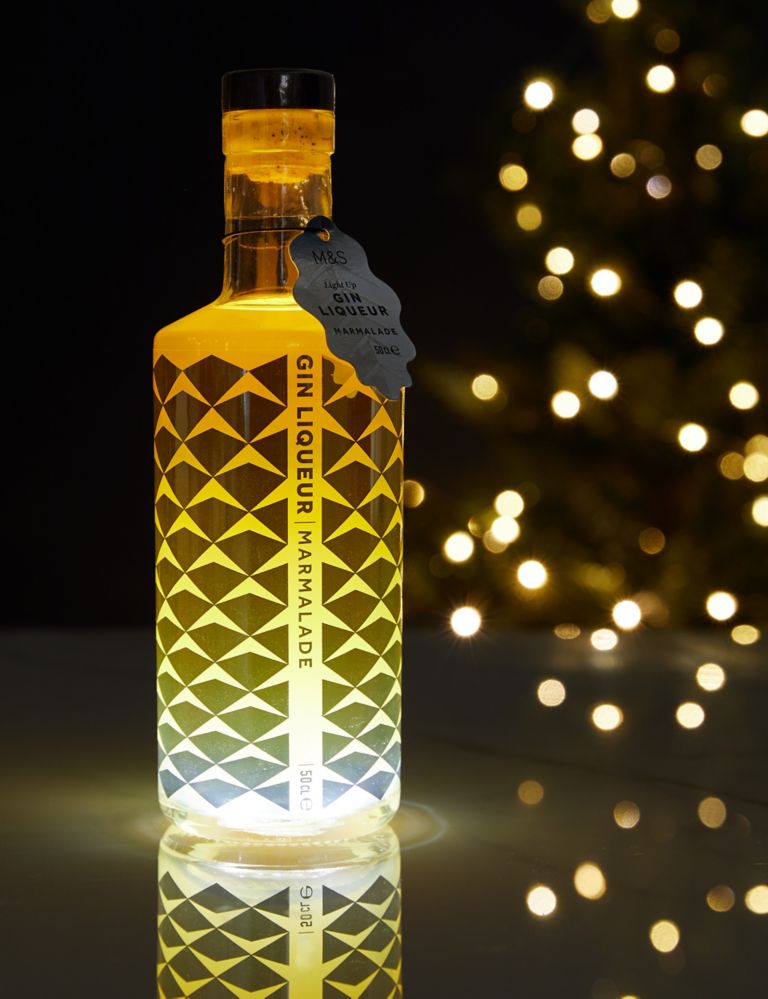 Light Up Gin & Fizz Gift Box (Now available for delivery) 2 of 4