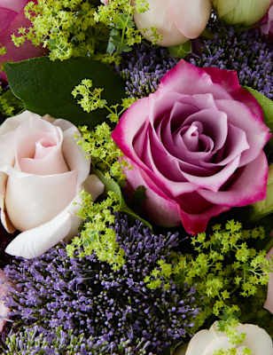 Lilac Blush Bouquet | Collection | M&S
