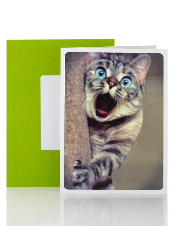 Little Laughs Crazy Cat Blank Card Image 1 of 2