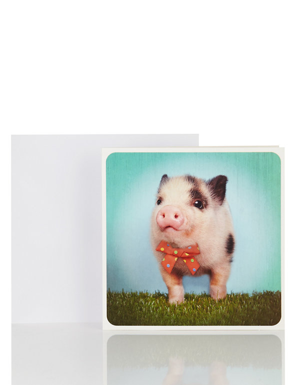 Little Laughs Micro Pig Blank Card Image 1 of 2