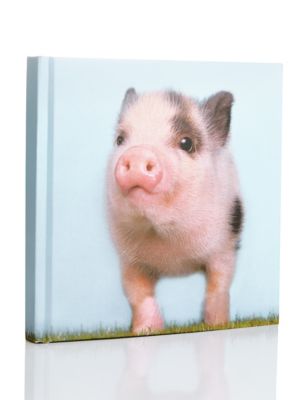 Little Piglet Address & Special Events Book Image 2 of 3