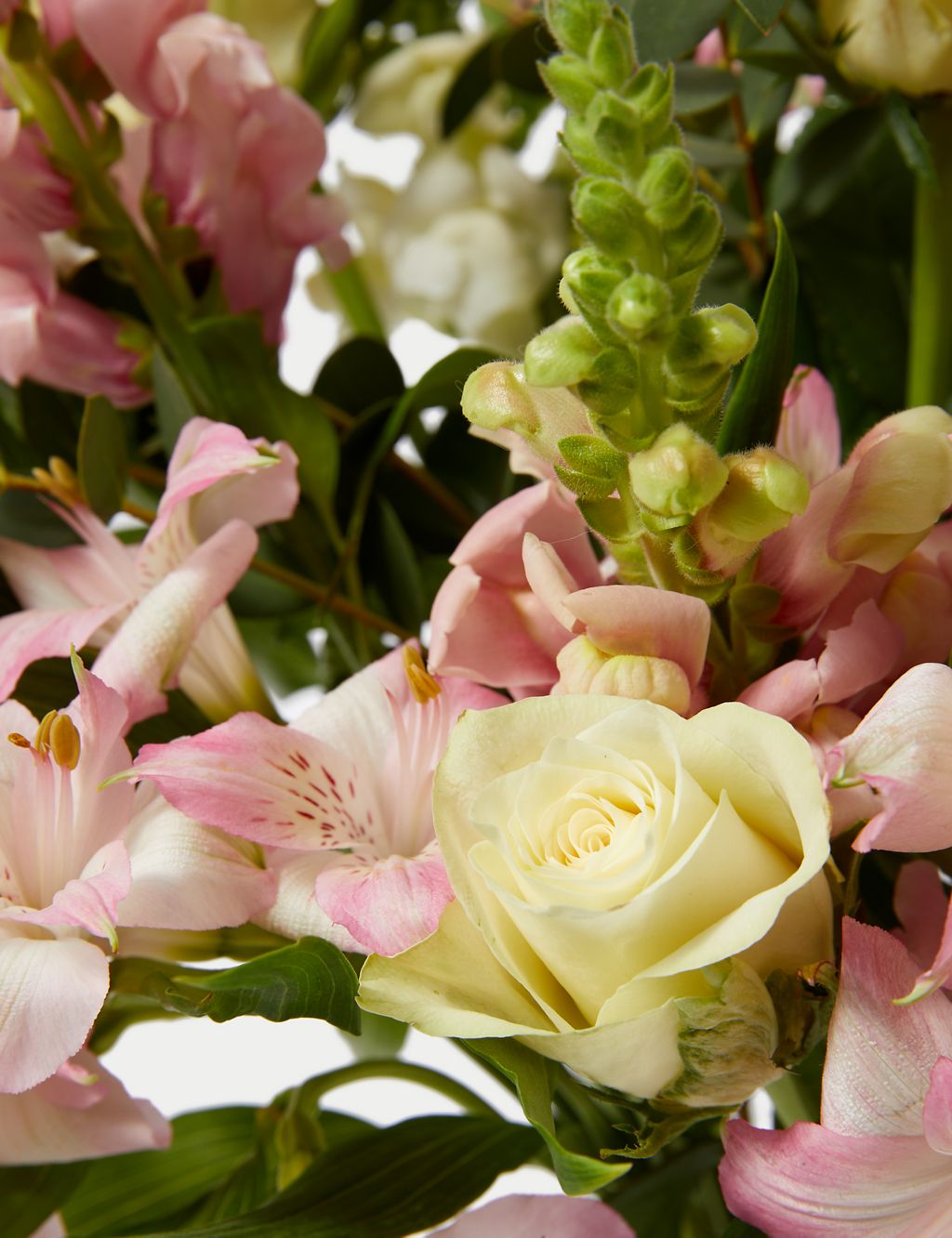 Lovely Mum Rose & Antirrhinum Bouquet With Rosé Prosecco 4 of 6